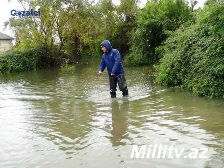 Masallı sakinləri çətin durumda... - GİLEY