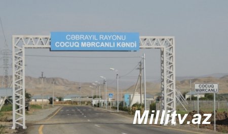 Məmur kəndlidən 500 ağacın məhv edilməsini tələb edir – Cocuq Mərcanlıdan şikayət