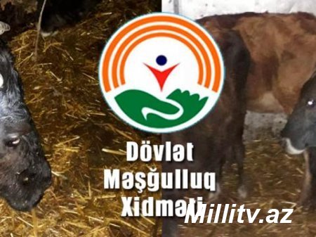 "Mən nə bilim ki, bütün pulumu bunlara xərcləyəcəm?" - GİLEY