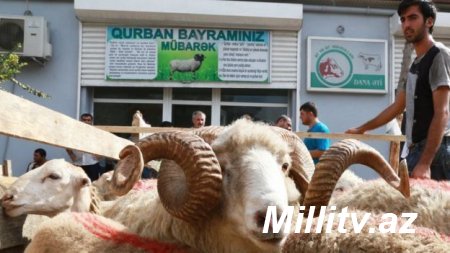 Qurban bayramı ilə bağlı üç qurum açıqlama yayıb