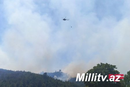 Oğuzda yenidən meşə yanğını başlayıb, əraziyə helikopter cəlb edilib