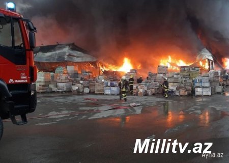 Bakıda restoranda baş verən atışma ilə bağlı VİDEO