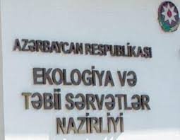 Ağacları zədələyən şəxs cəzalanıb