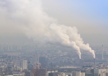 Havanı çirkləndirən sexin sahibi cəzalanıb