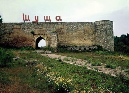 İşğalçı Ermənistanın Şuşada meşələri yandırmasına nazirlikdən REAKSİYA