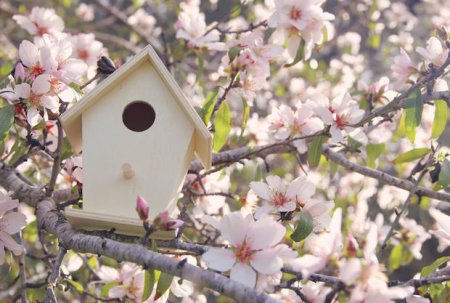 Martın hava proqnozu açıqlandı: 22 dərəcə isti gözlənilir