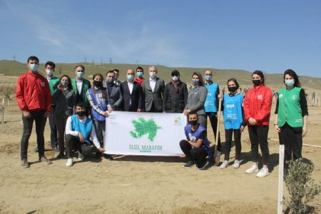 Bakıda “Yaşıl Marafon” layihəsi çərçivəsində ağacəkmə aksiyası keçirilib - FOTO