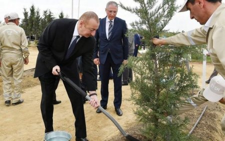 İlham Əliyev Ağdam şəhər meşə-parkında ağac əkilməsi mərasimində iştirak edib