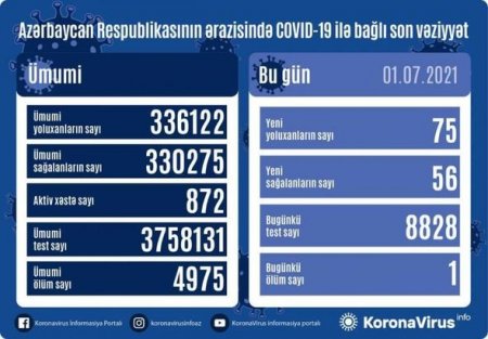 Azərbaycanda son sutkada koronavirusdan bir nəfər ölüb - FOTO