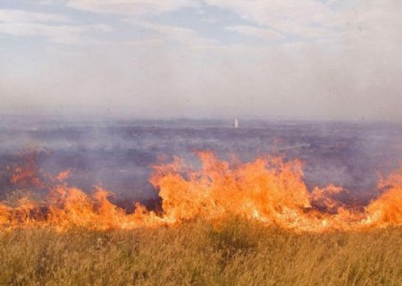 Ermənilər Qazaxla sərhəd ərazidə yanğın törətdi