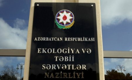 "ETSN-nin Şamaxı Regional Meşə Təsərüfatının müdürünün cinayət məsuliyyətinə çəlb edilməsini tələb edəcəm!"- Məhkəmə vətəndaşın pozulmuş hüuqlarını bərpa etdi