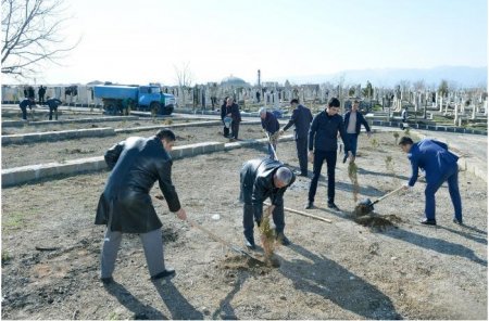 Naxçıvanda məcburi iməcilik: - "Bizi qul kimi işlədirlər"