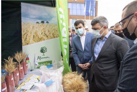 İnam Kərimovun YARMARKA KAMİFULYAJLI MARKETLƏRİ... - BUNUN BAŞQA ADI YOXDUR...