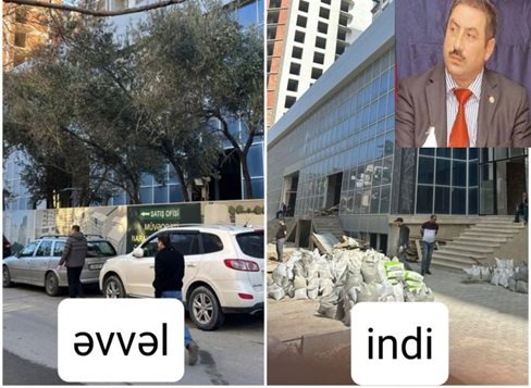 Nərimanovda “Yaşıl dünya ili”nə qarşı cinayət – bələdiyyə sədri ağacları qətl etdi-FOTOLAR