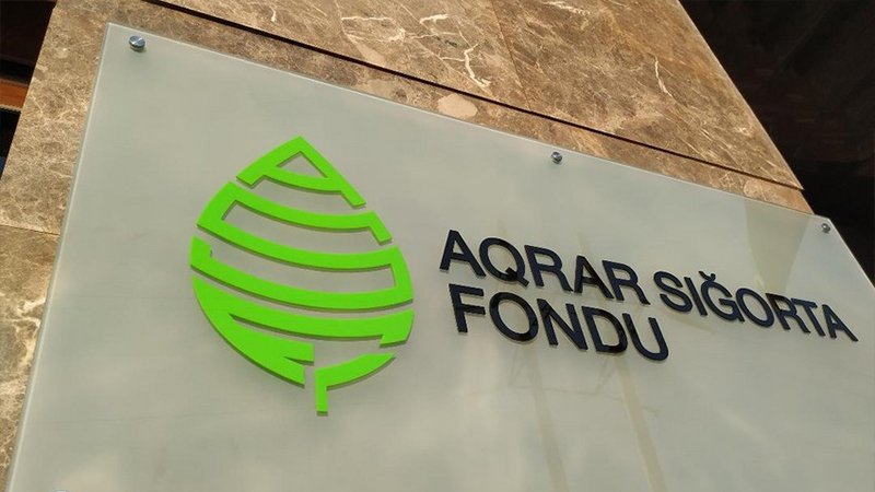 Aqrar sektorda sığorta: Fermerlərin inamsızlığına səbəb nədir? - ARAŞDIRMA